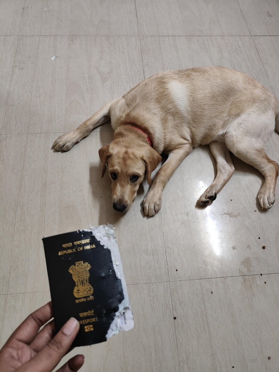 Источник: redd.it