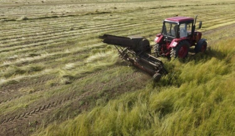    Фото: Правительство Ярославской области