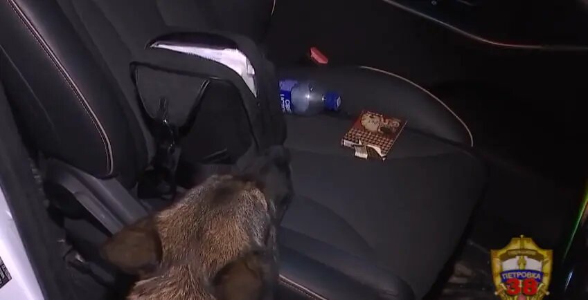    Источник: vm.ru/ Виктория Николаева