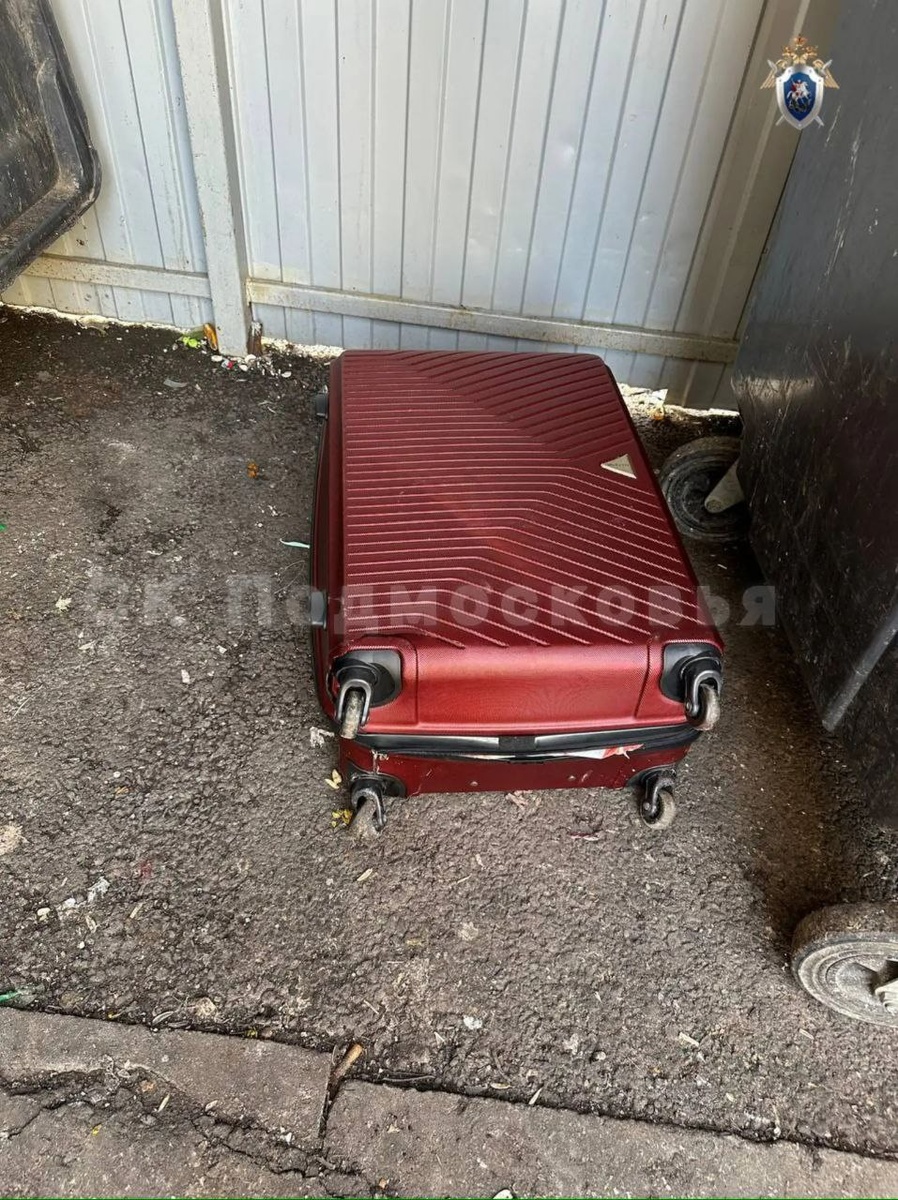    Фрагменты тела женщины в двух чемоданах нашли в Красногорске