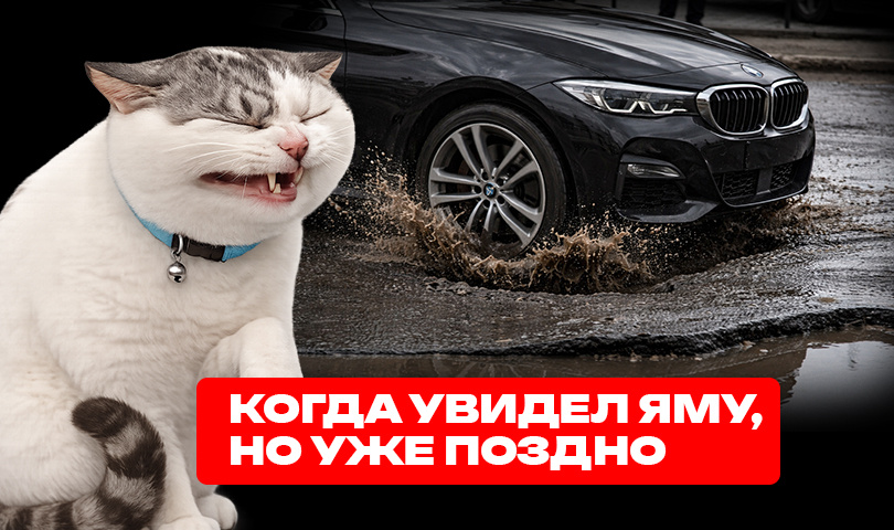 Узнал себя? :D