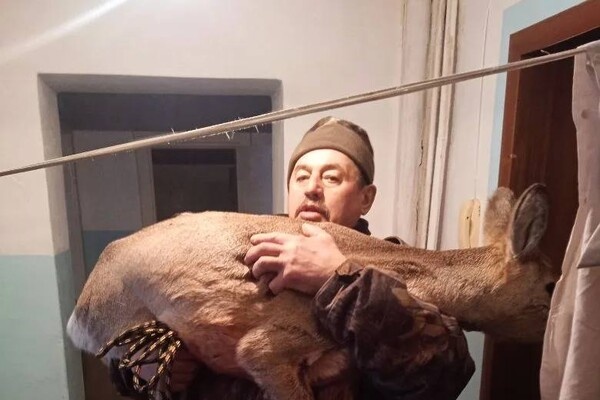 Telegram-канал МВД 24   📷