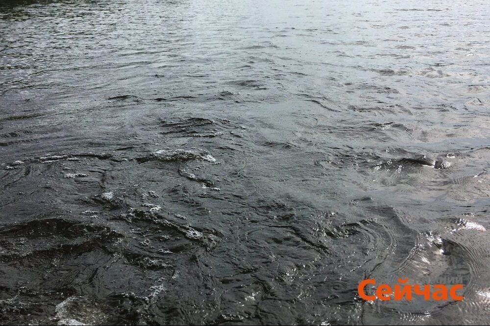    Фото: ИА "Нижний сейчас" Иван Воробьев