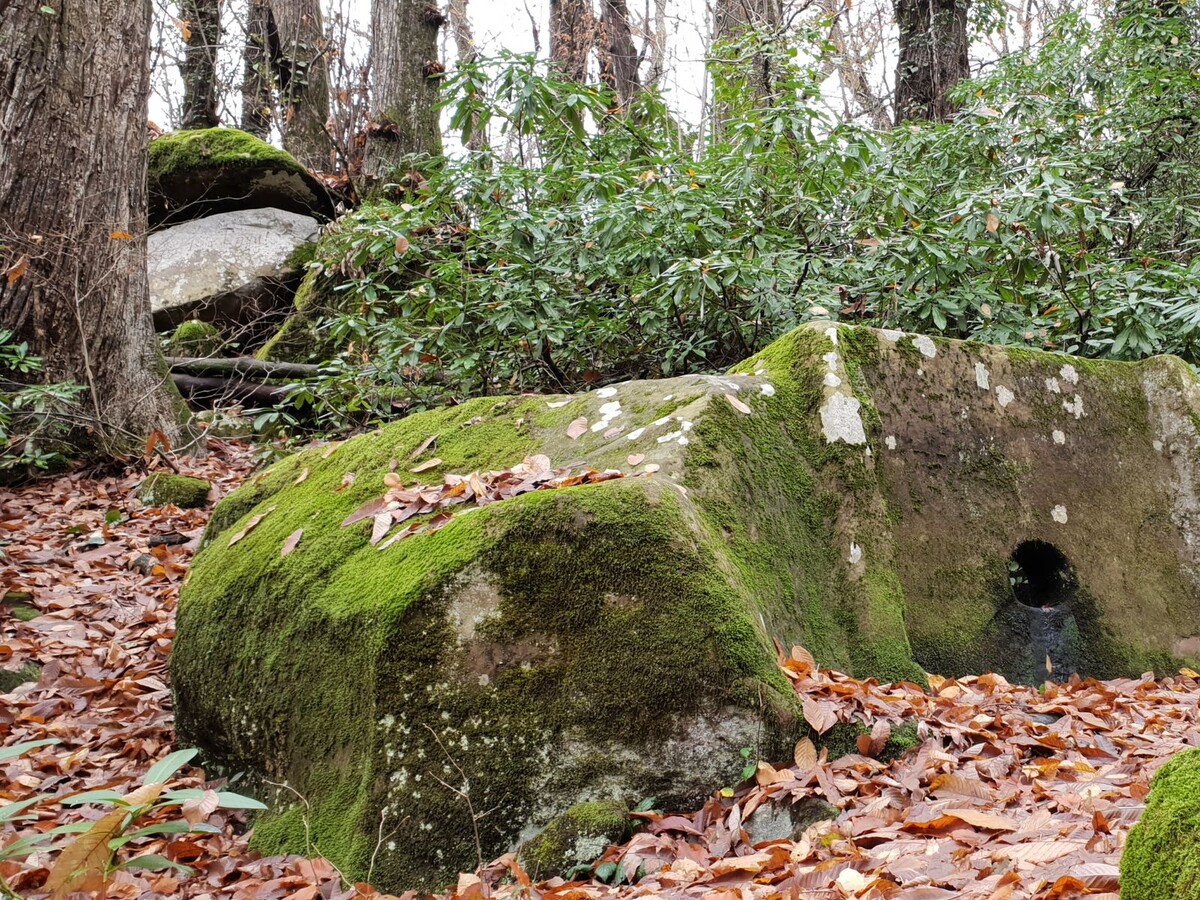 В центре — идеально круглое отверстие, похожее на застывший глаз. Источник фото - https://golnk.ru/vXM6y