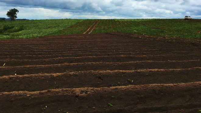 Фото: https://ru.freepik.com/free-photo/countryside-cloud-agriculture-organic-concept_2862145.htm#fromView=search&page=1&position=1&uuid=b681cf18-20a0-4009-9afa-0f9662a7cf35&query=%D0%B7%D0%B5%D0%BC%D0%BB%D1%8F+%D0%BF%D0%BE%D0%BB%D0%B5