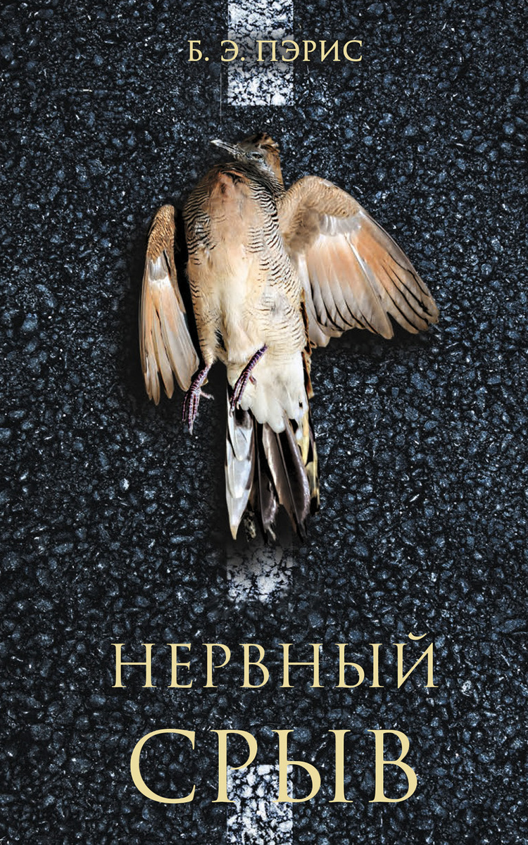 Книга «Нервный срыв» Бернадетт Энн Пэрис