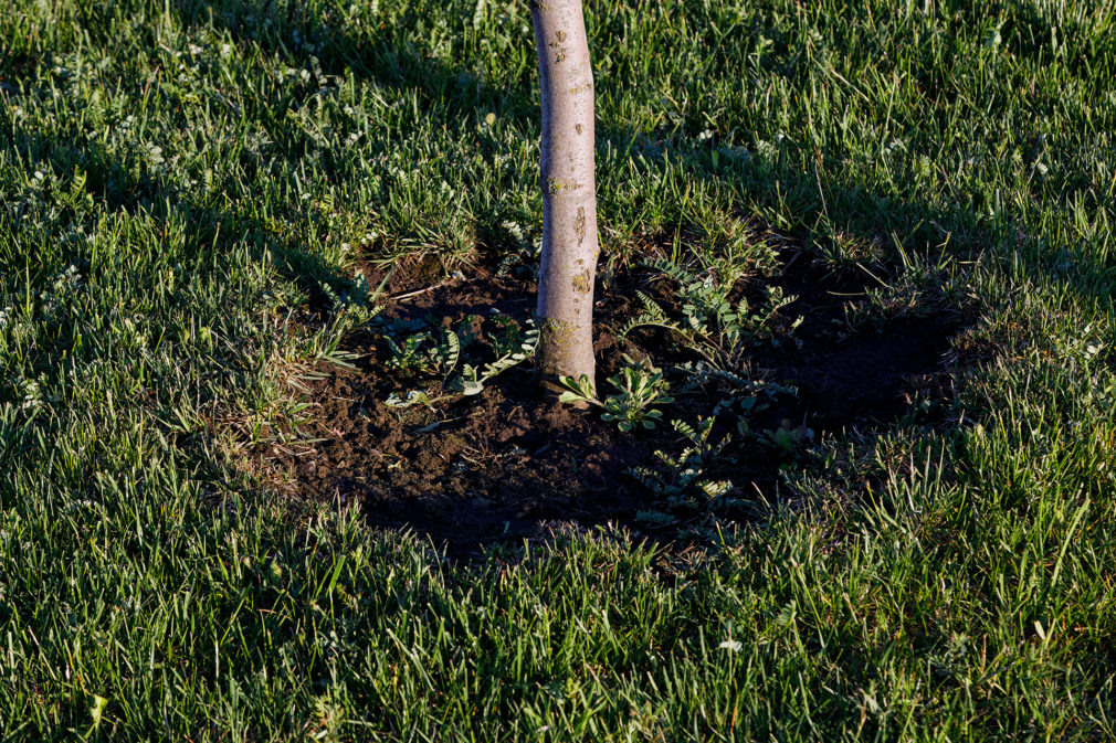    Фото: СвоёТВ/Сергей Пархисенко Сергей Иванов