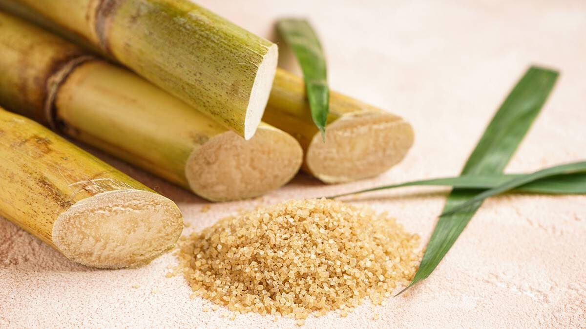    Фото: Shutterstock