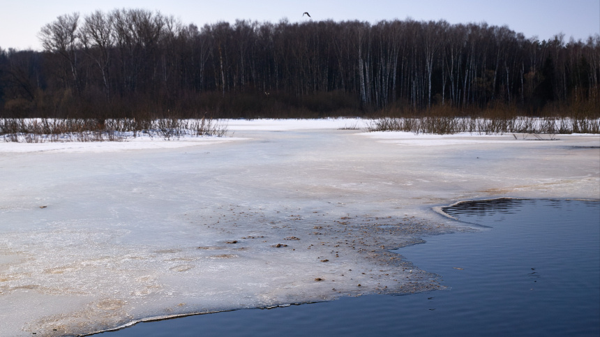    Фото: ИЗВЕСТИЯ/Полина Фиолет