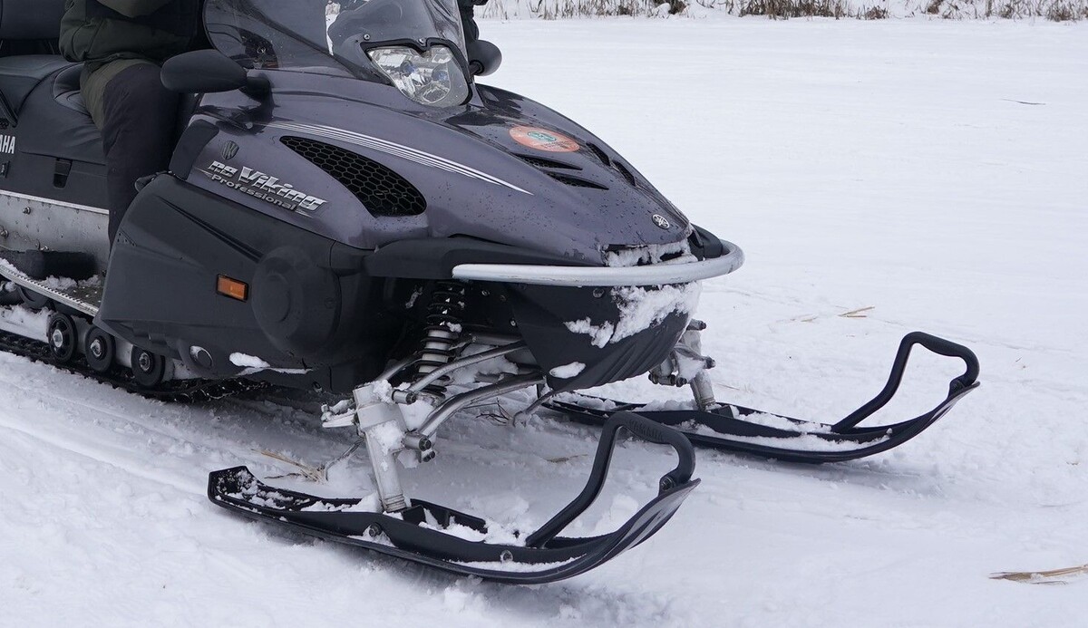     / Источник: © ИЗВЕСТИЯ/Кристина Кормилицына