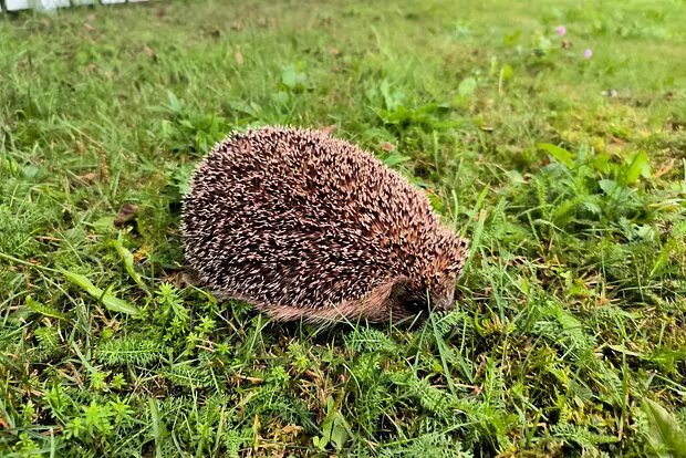    Источник: lenta.ru/ Дмитрий Смирнов