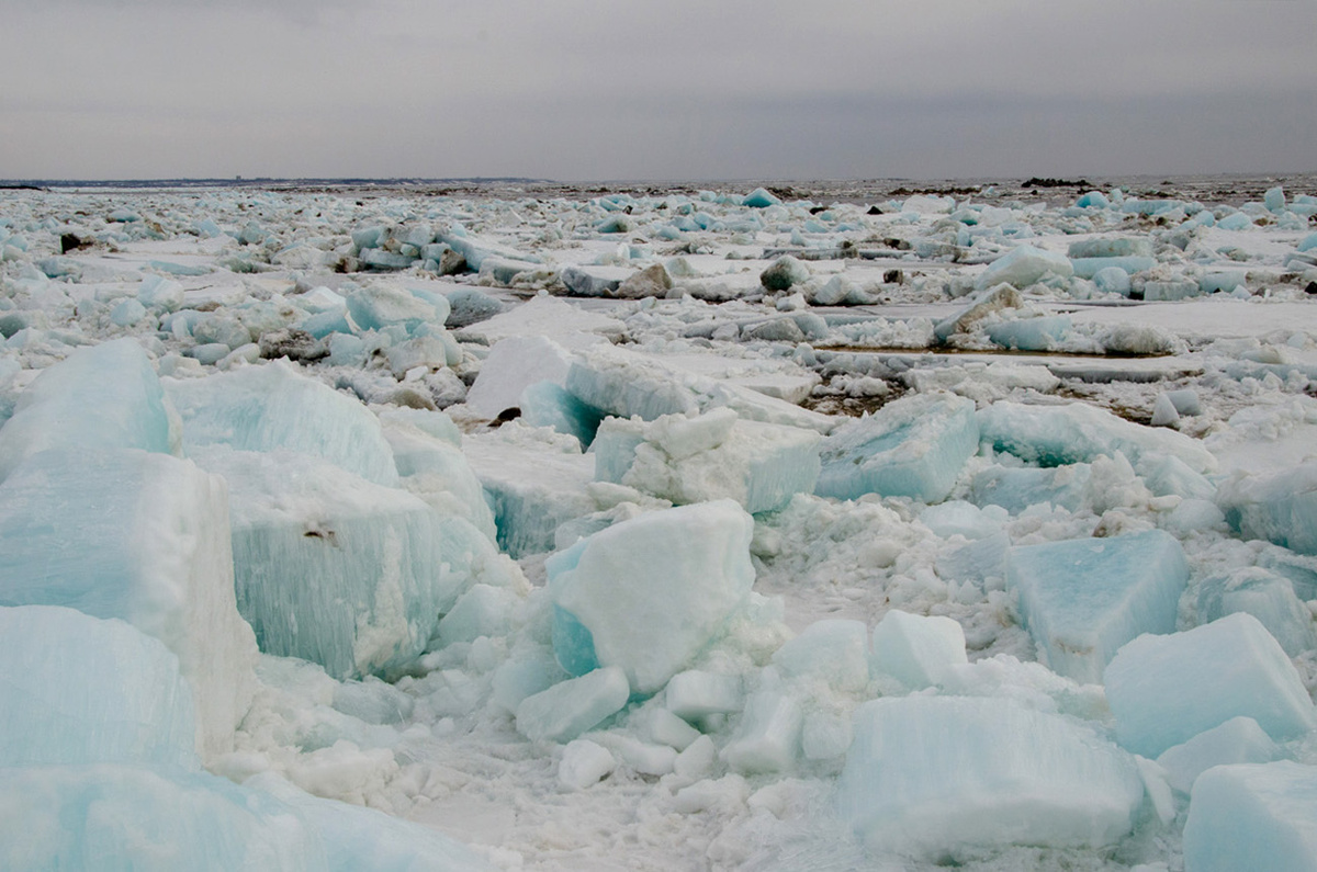 Источник фото - https://golnk.ru/nr30Y