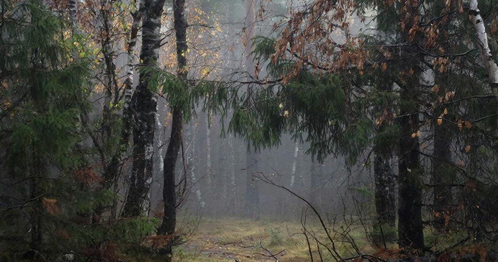 Холодное небо Прибалтики