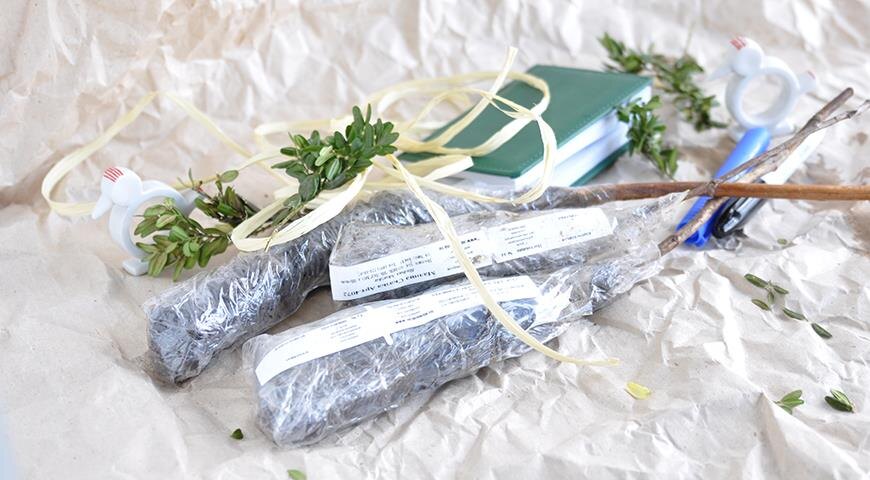 Как правильно выбрать саженец для посадки в сад?