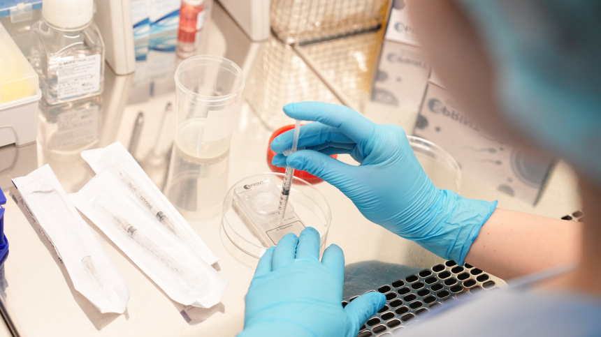    Фото: ИЗВЕСТИЯ/Эдуард Корниенко