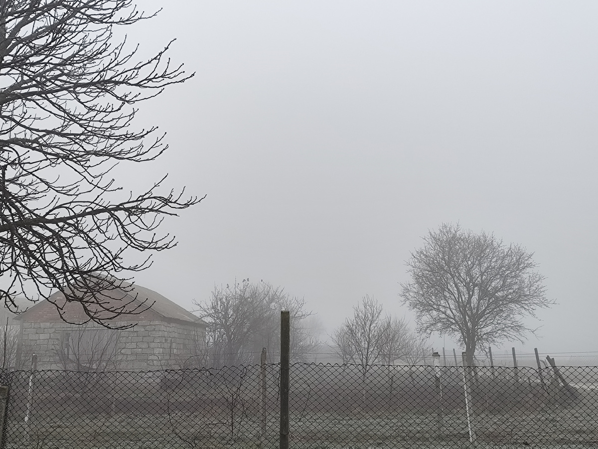Даже соседские еще проглядывают