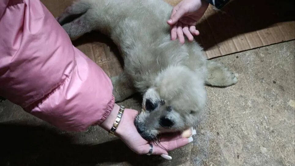    Источник: vm.ru/ Марина Латышева