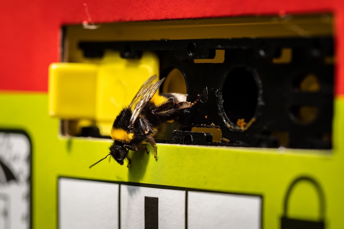 Фото: Александр Плонский / "Агроэксперт"