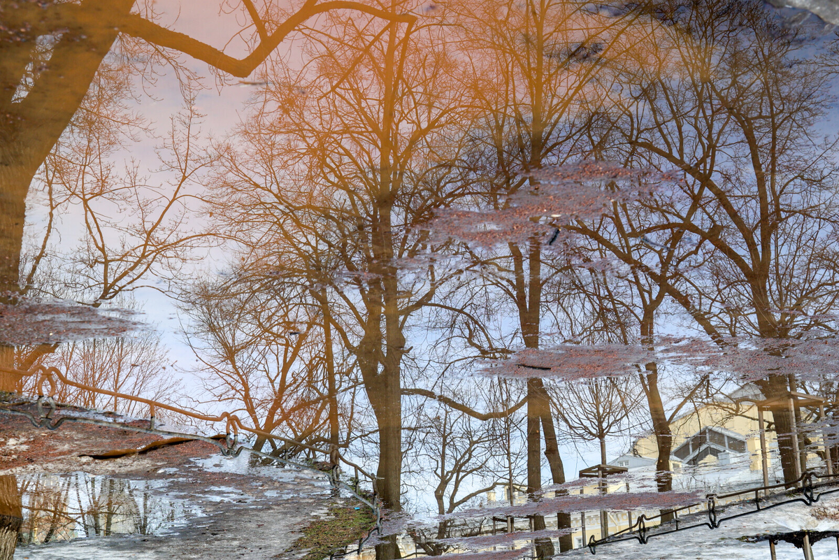 Фото: Олег Золото