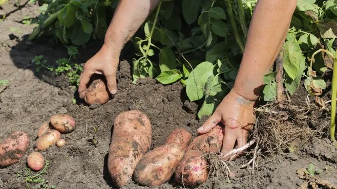 Фото: медиасток.рф