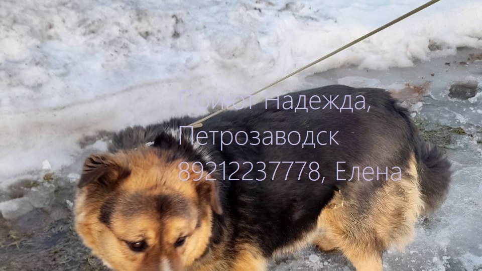 ВСЕМ ПРИВЕТ ИЗ СЕМЬИ ОТ ЗАЙКИ