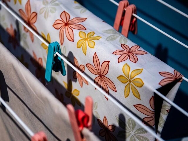    Фото: 123RF.соm/19x14ph