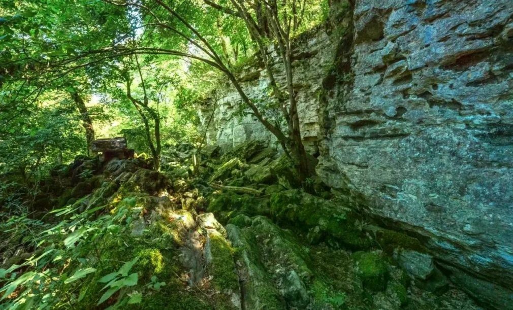    Фото: Минприроды СК Светлана Уварова