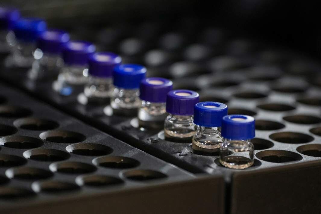 Фото: ИЗВЕСТИЯ/Эдуард Корниенко