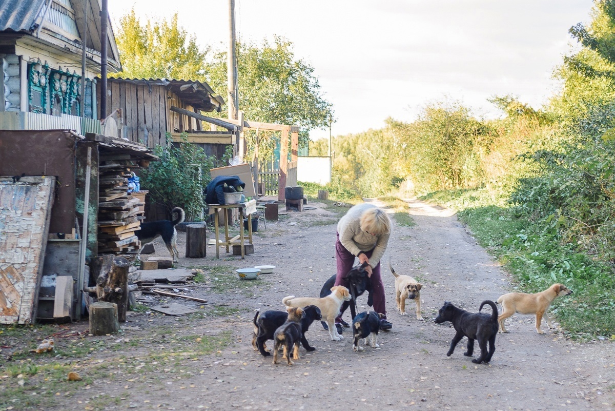    У владелицы приюта, Натальи Шаталовой, обнаружили рак