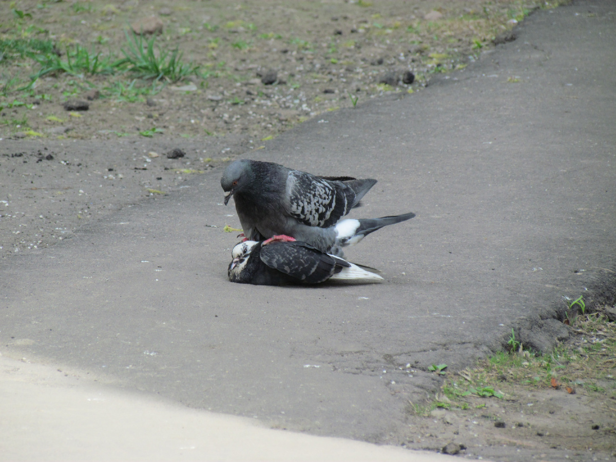Одна из таких пар, сформированная на свободе - эти отношения на всю жизнь!
