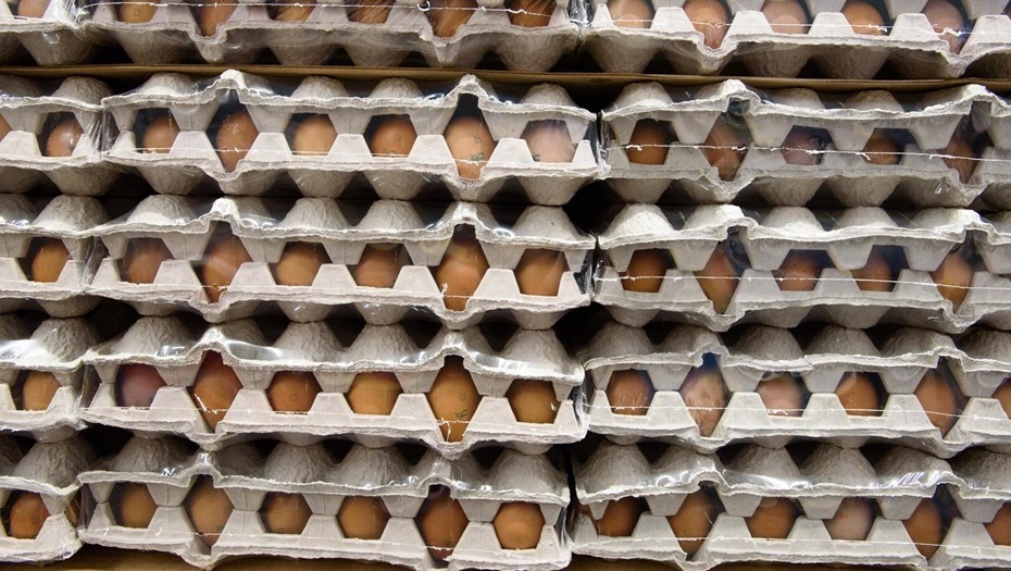    Автор фото: Ермохин Сергей