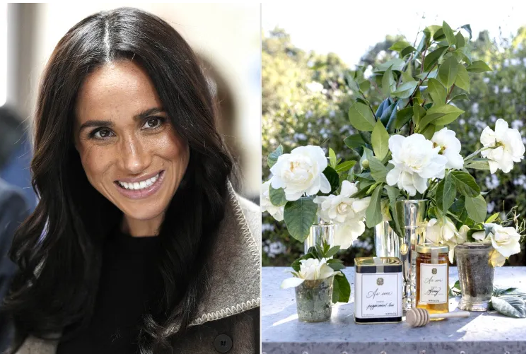 Меган не стесняется использовать свою маленькую дочь для рекламы бренда As Ever. Все ради бизнеса.