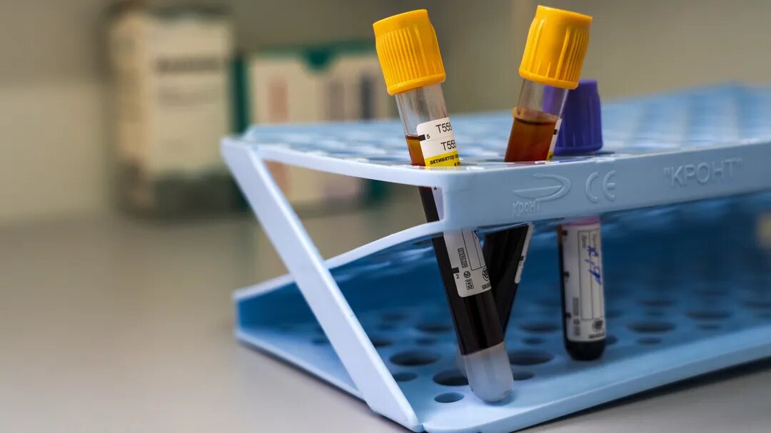  Фото: медиасток.рф