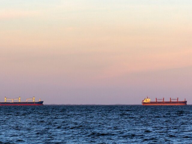    Фото: 123RF.соm/dkov