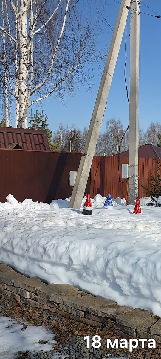 Под колпачками елочки коники.