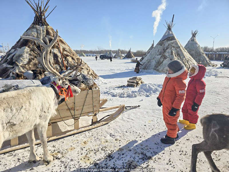 День оленевода на Ямале - большой праздник, который может сравниться с Олимпийскими играми, только среди оленеводов. Там они соревнуются в разных видах спорта. Я расскажу об этом празднике в одной из следующих статей. Фото: Голландец в России