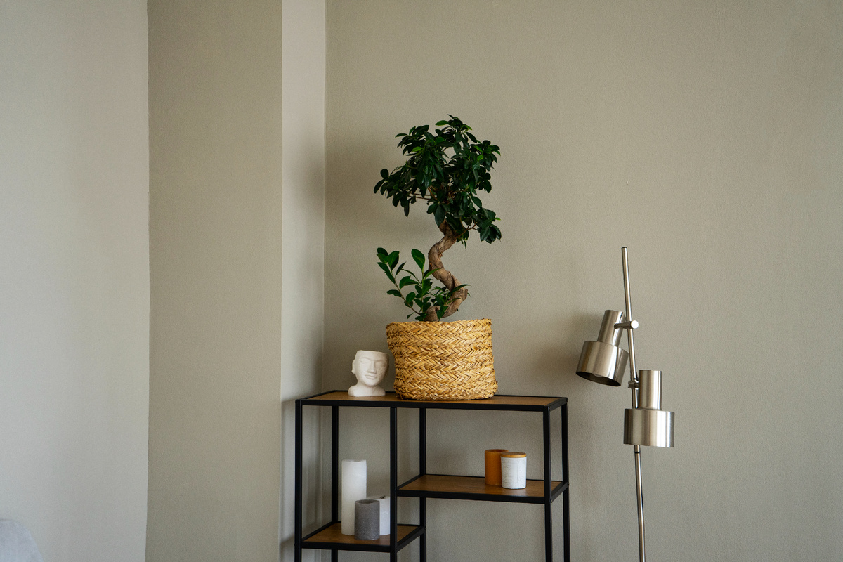 Источник: ru.freepik.com