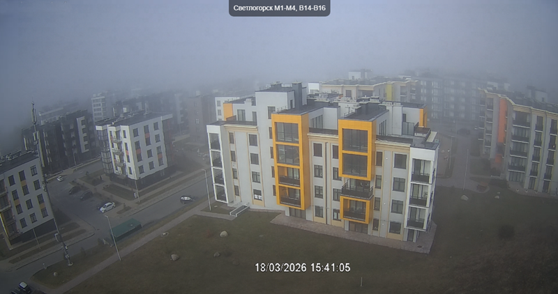 Светлогорск, улица Ольховая. Туманная погода, 18.03.2026