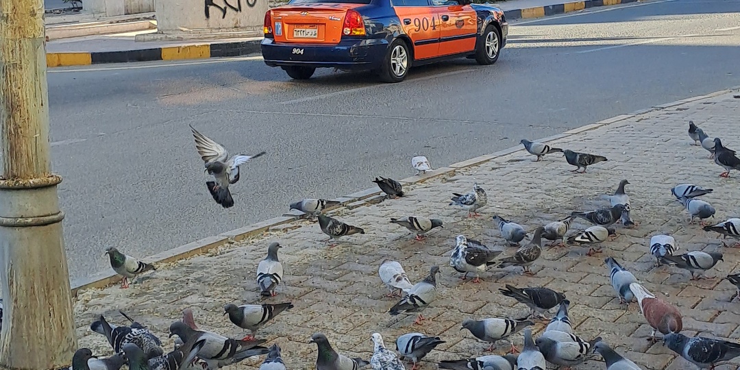 Стеллы в Дзен мне не нужны — я с них ничего не получаю