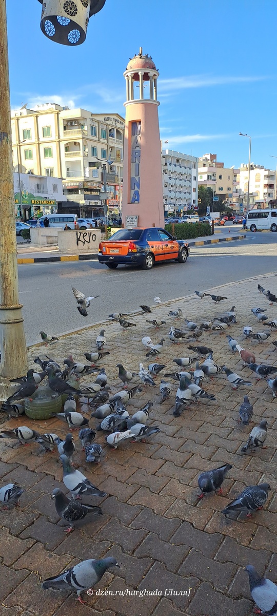 Фото для Дзен канала Лиля Египет. Зачем «Дзен» ввёл стеллы и что это вообще такое.
