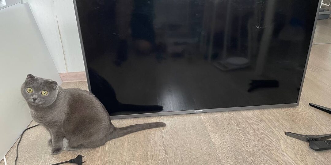 Двойная удача! Детальный разбор телевизора на компоненты. Что можно сдать, а что продать?