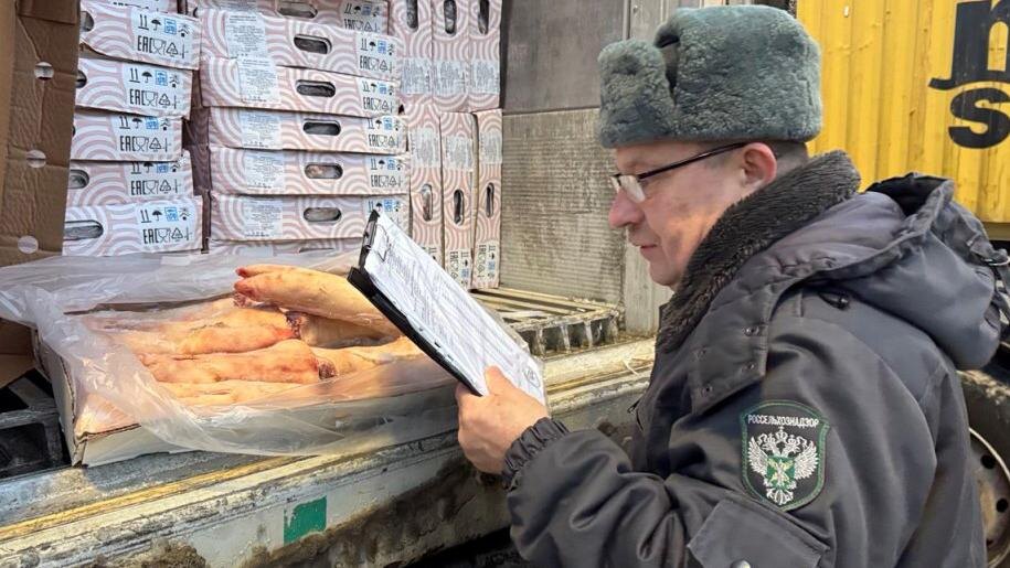    Фото: 178.fsvps.gov.ru