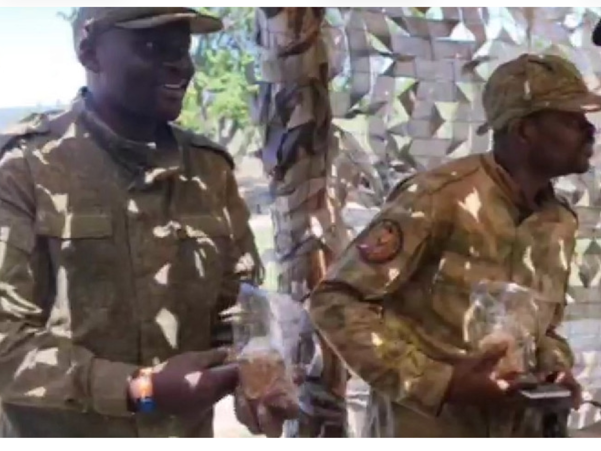 Фото с сайта: sarnovosti.ru             «Выходцы с африканского континента  на СВО»