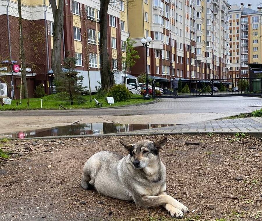    ИА “Орелград”