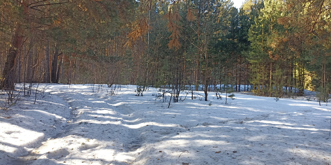 Наш выезд на дачу. Света нет ,приводим в порядок печки .