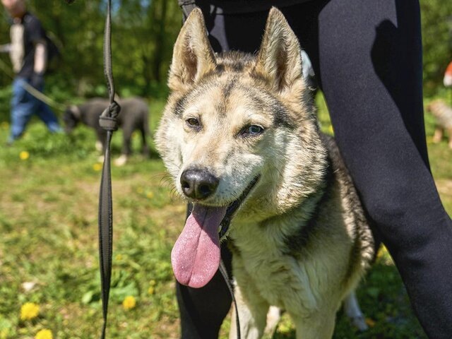    Фото: портал мэра и правительства Москвы/Евгений Самарин