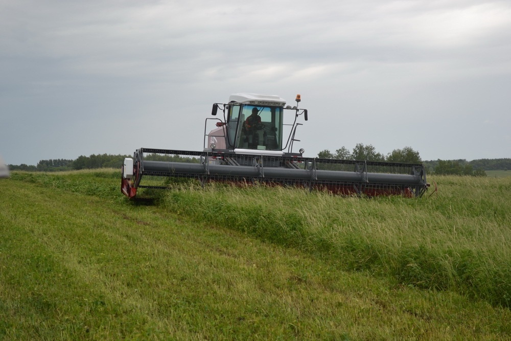    фото: министерство сельского хозяйства Нижегородской области Иван Воробьев