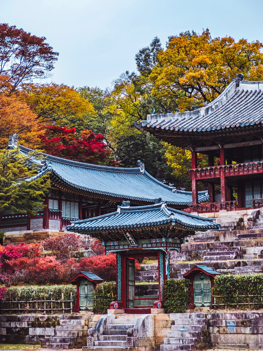 Автор статьи и фото: Алексей Моисеев / Фотозаписки партизана / @partyzzzan