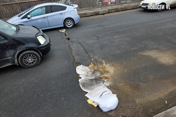 ООО «ВЛ Новости»  📷