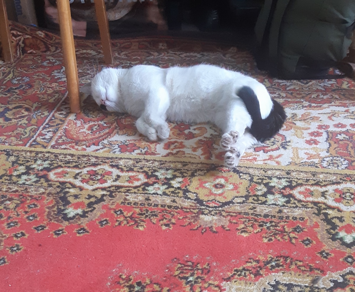 Старший по гарнизону заступил на вахту